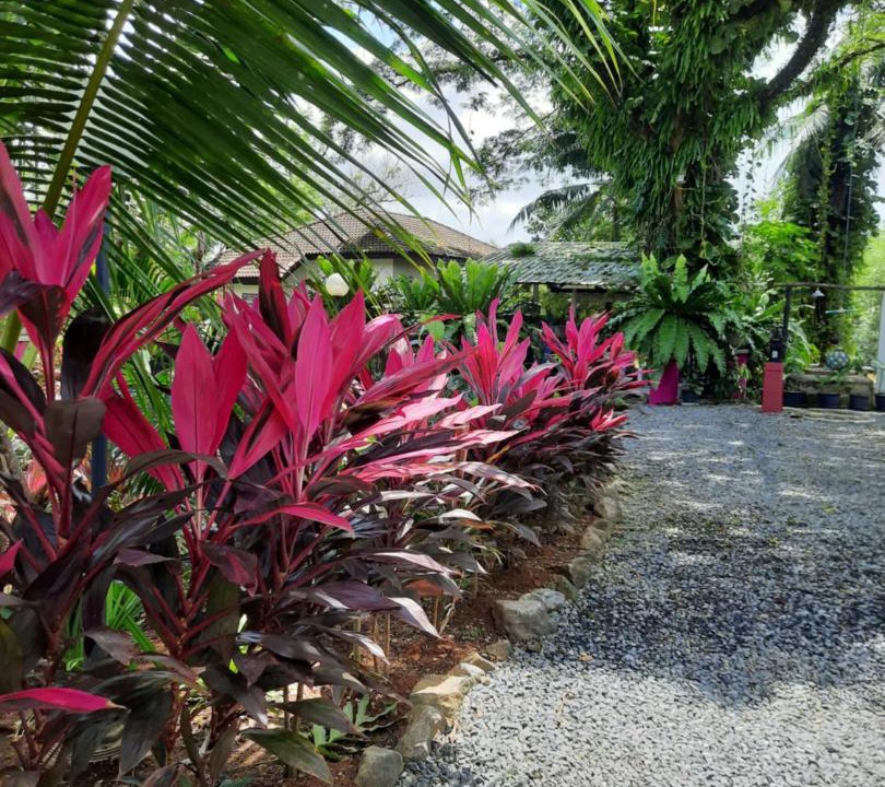 Photo of Outdoor in Takua Pa