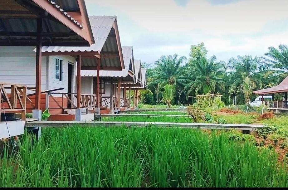 Photo of Others in Takua Pa