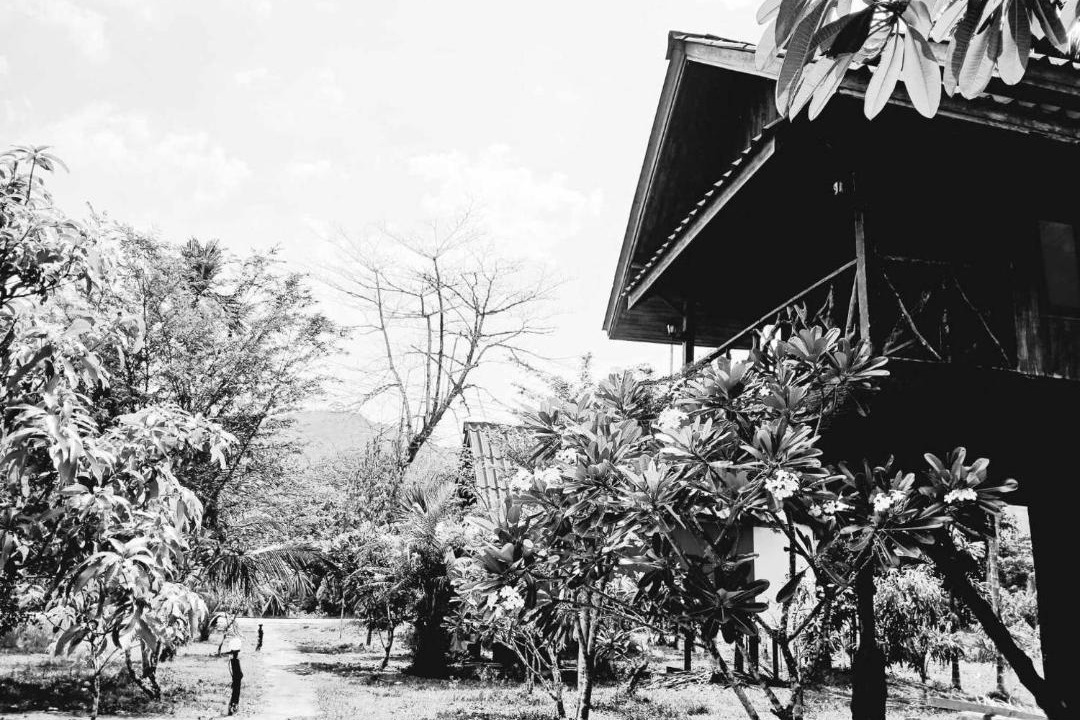 Photo of Others in Khlong Sok