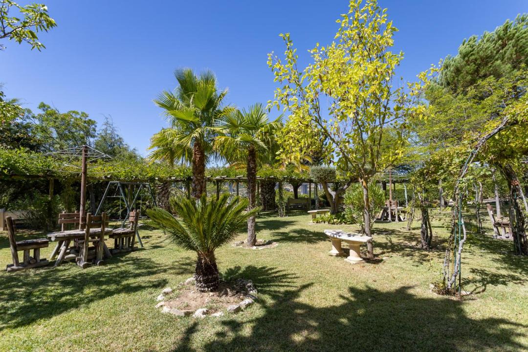 Photo of Others in Calhandriz