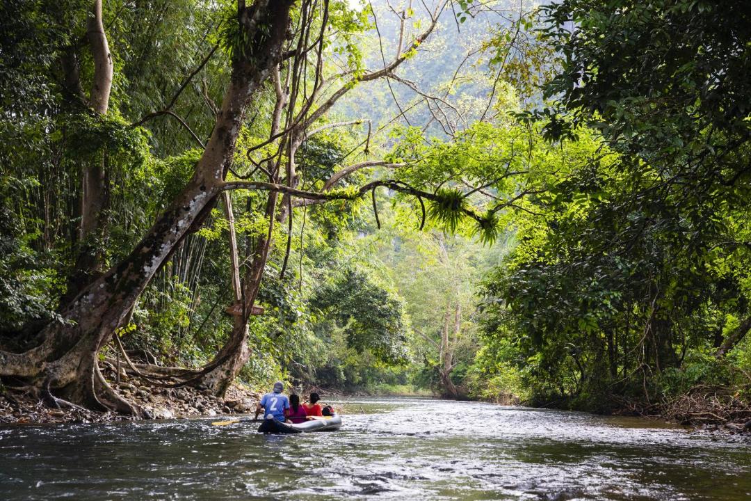 Photo of Others in Khlong Sok