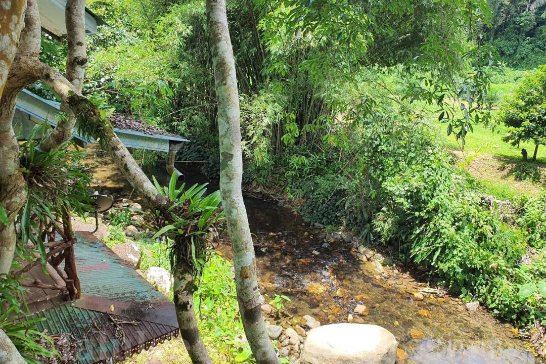 Photo of Others in Khlong Sok