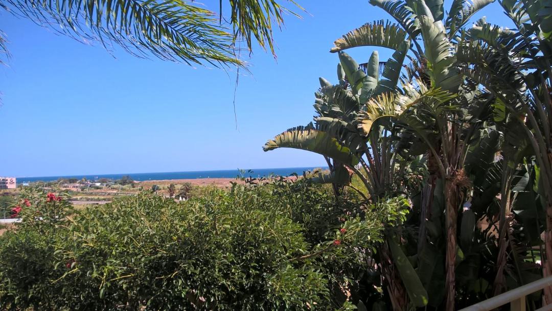Photo of Others in Albardeira