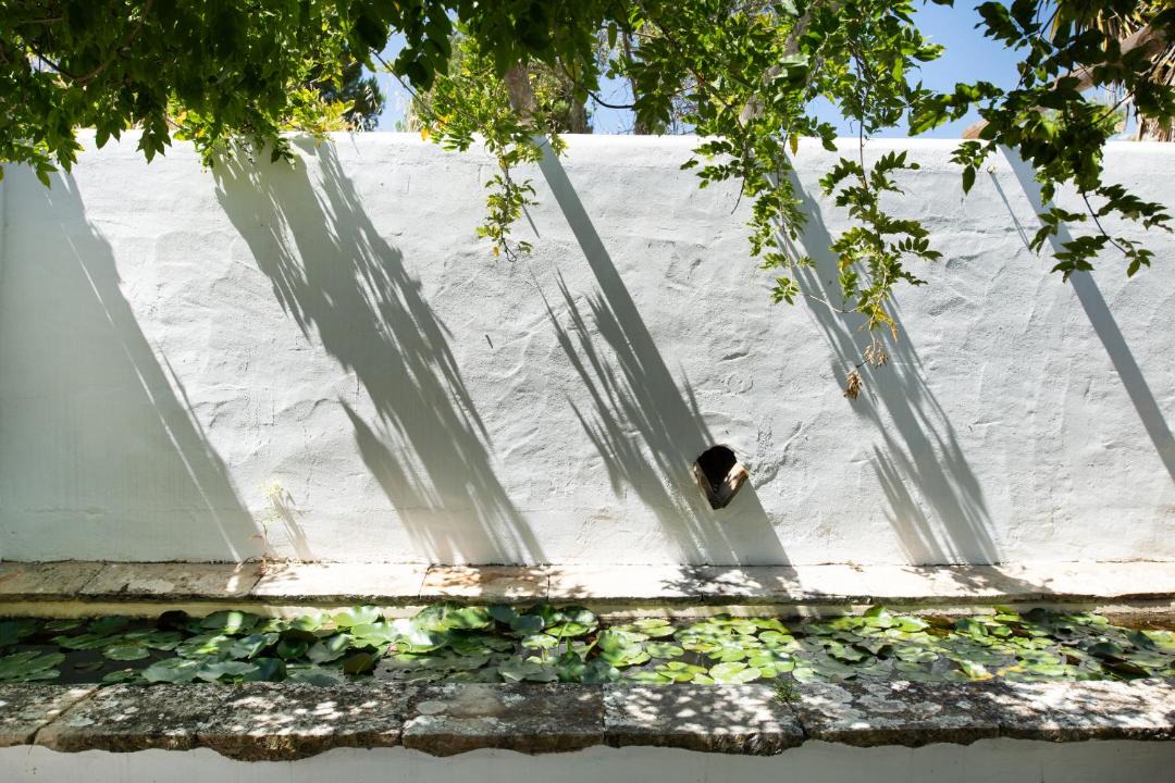 Photo of Others in Santo Estevao