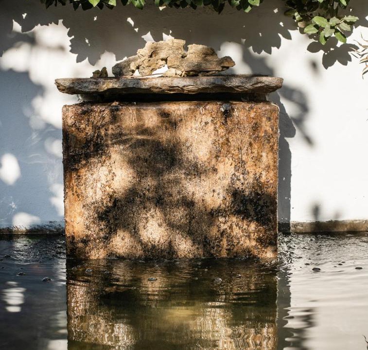 Photo of Others in Santo Estevao