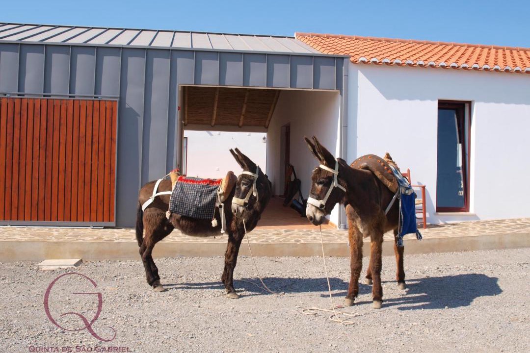 Photo of Others in Fonte