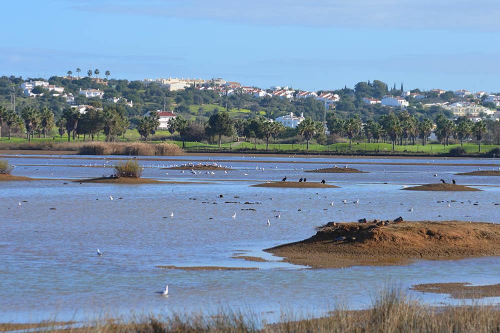 Photo of Others in Quarteira