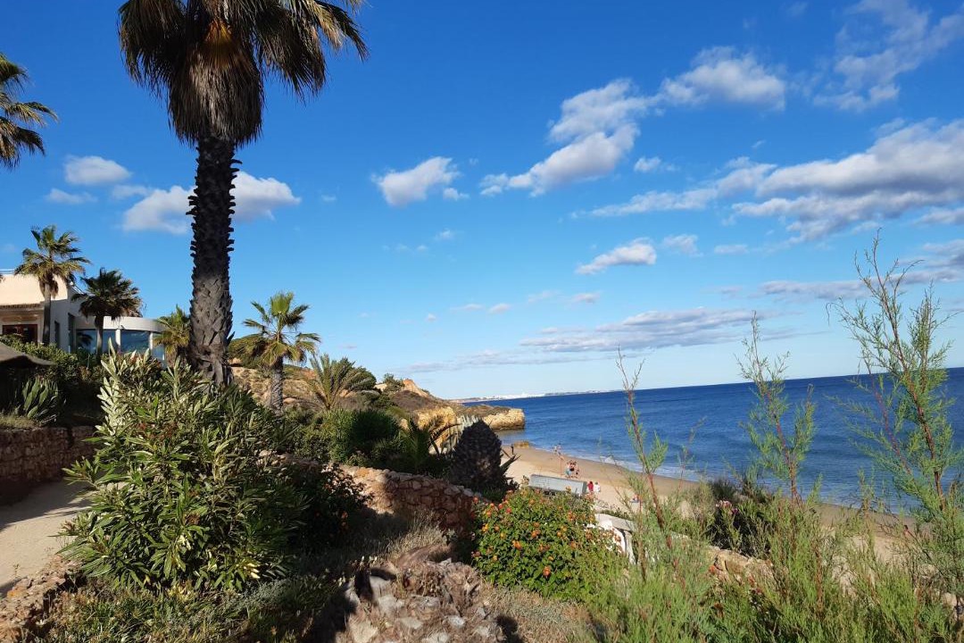 Photo of Outdoor in Albufeira