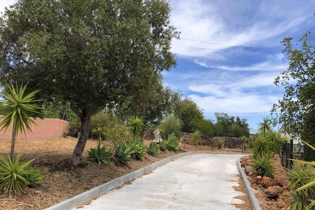 Photo of Outdoor in Silves