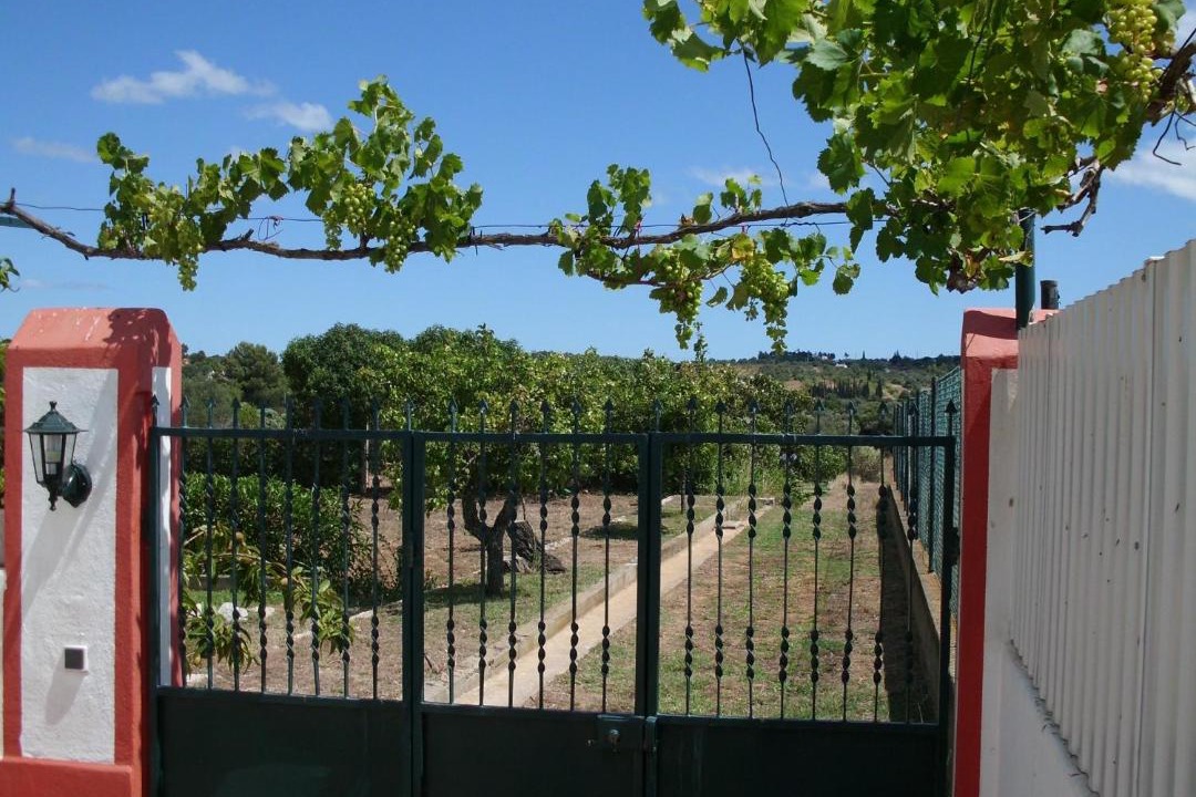 Photo of Others in Alfarrobeira