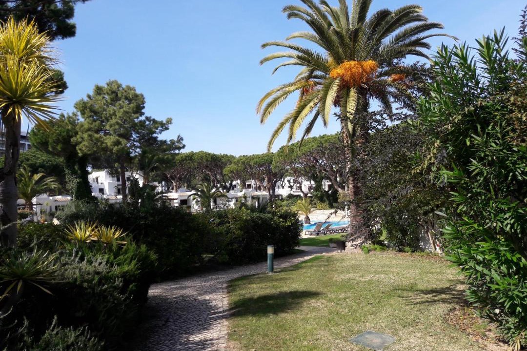 Photo of Outdoor in Albufeira