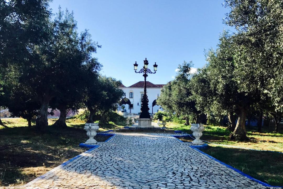 Photo of Others in Monte Raposo