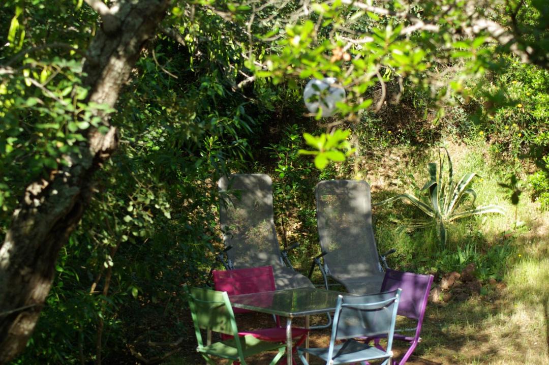 Photo of Others in Santo Estevao