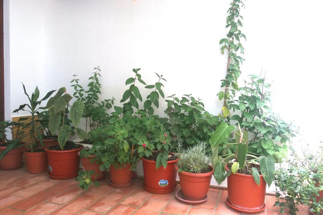 Photo of Others in Vila Nova de Milfontes
