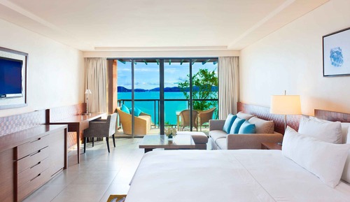 Room, 1 King Bed
