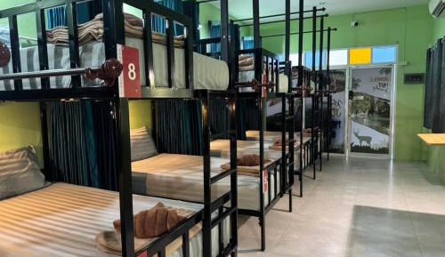 Bunk Bed in Mixed Dormitory Room