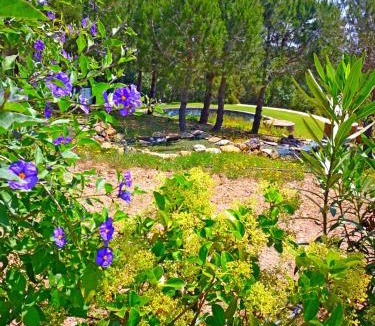 Barao de Sao Joao Apartment | Casa dos Sonhos, private terrace, quiet location, walking to village, ecological pool, pets considered, nature friendly