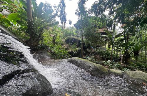 Ron Phibun Resort | Baanmon Camping บ้านม่อนแค้มปิ้ง ร่อนพิบูลย์ นครศรีธรรมราช