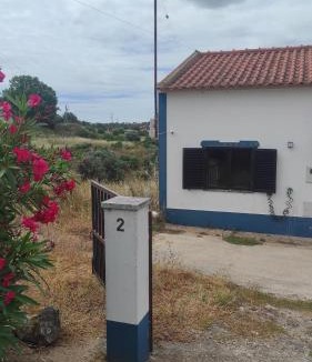 Torrao Villa | Nova Quinta Moderna TORRAMO em Oliveiras, Campo de Laranjas, na Nacional 2, Alentejo 13750 m2