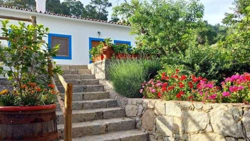 Barracao House | Quinta da Idalina