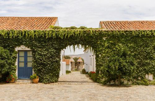 Reguengos de Monsaraz Hotel | São Lourenço do Barrocal