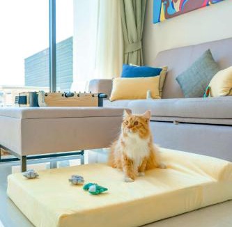 Bang Tao Hotel | Cassia Phuket, part of Banyan Group