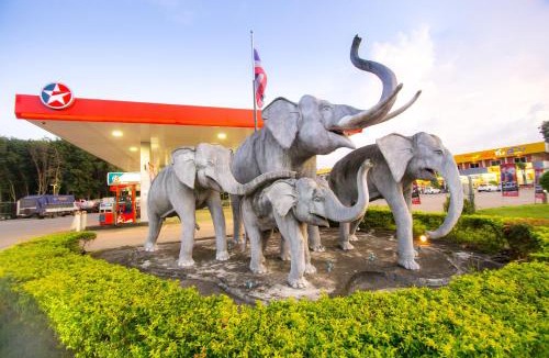 Phunphin Hotel | The Lephant Hotel