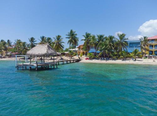 Parrot Cove Lodge in Hopkins